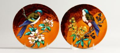 A PAIR OF PORCELAIN CIRCULAR TILES, birds and flowers. 8ins high.