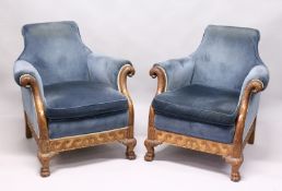 AN IMPOSING PAIR OF PADDED ARM CHAIRS with blue velvet covers and show wood forms. The curving