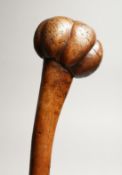 A GOOD TRIBAL WOODEN CLUB 31ins long.
