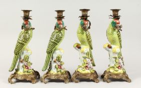 A SET OF FOUR CONTINENTAL PORCELAIN PARROT CANDLESTICKS with gilt bases 14ins high.