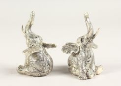 A PAIR OF SILVER PLATE ELEPHANT SALT AND PEPPERS