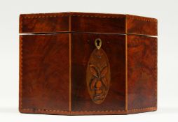 A GOOD GEORGE III MAHOGANY HEXAGONAL SHAPED TEA CADDY with satinwood stringing and oval. 5ins high.