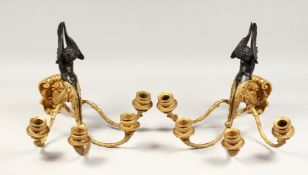 A VERY GOOD PAIR OF 19TH CENTURY FRENCH BRONZE AND ORMOLU THREE LIGHT WALL SCONCES with winged