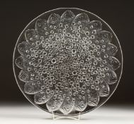 A GOOD LALIQUE CIRCULAR GLASS DISH DECORATED WITH FISH AND BUBBLES Etched Lalique, France 14ins