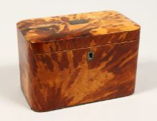 A GOOD REGENCY TORTOISESHELL TWO DIVISION TEA CADDY of rectangular form. 6.75ins high.
