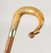 A CARED WOOD CROOK HANDLE WALKING STICK, possibly gold, band 2ft 6ins long.