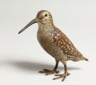A SUPERB HEAVY AUSTRIAN PAINTED COLD CAST CURLEW 5.5ins high.