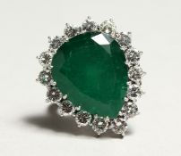 A SUPERB 18CT WHITE GOLD, PEAR CUT EMERALD AND DIAMOND RING set with a large emerald surrounded by