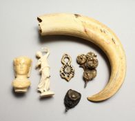 A BOARS’ TUSK and five small pieces (6).