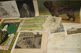 [PRINTS & POSTERS] 25 mixed decorative prints, various sizes (25)