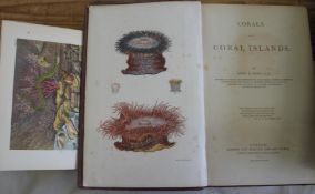 DANA (J,) Corals and Coral islands, 8vo, col. frontis. Plates, text illus., cloth (rebacked), L.,