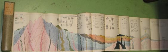 [GEOLOGY / FOSSILS] BUCKLAND (W.) Geology and Mineralogy, 2 vols, 88 plates, original cloth &