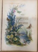 [CHROMOLITHOGRAPHY] The Night-Flyers. A Series of Moth Pictures, sm. folio, 15 ff., illus., faux