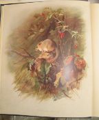 THORBURN (Archibald) British Mammals, lge 4to, 2 vols in 1, 50 colour plates, cloth, L., 1920.
