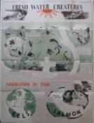 SCHOOL POSTERS, 2, Life on the Shore [and] Fresh Water Creatures (2)