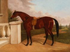 19th/20th century, study of a racehorse, oil on canvas, inscribed F. A. Oldmeadow - Pinxt 1863 ,