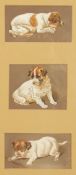 Late 19th century British, Three studies of a puppy in various poses, watercolour, initialled 'C. B.