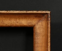 A deep box frame, rebate size 16.75 x 12.25 , 42 cm x 31cm.