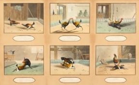 After Alken, a set of six lithographs of cock fighting scenes, shown in a single mount, visible size