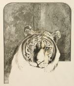 Bryan Organ (b. 1935) British, A head study of a tiger, Artist s Proof lithograph, signed, dated and