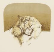Bryan Organ (b. 1935) British, Tiger , Artist s proof lithograph, signed, dated and dedicated in