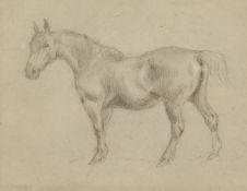 George Thomas Rope (1845-1929), Suffolk Horse I , A study of a horse, pencil sketch on paper, 8.