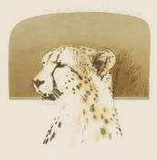 Bryan Organ (b. 1935) British, Cheetah , Artist s proof lithograph, signed, dated and dedicated in