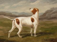 C. Harrison, British, Study of a dog, oil on panel, signed, 5 x 7 .