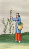 Chinese school 19th century, an album of twelve watercolours on pith paper regarding tea, 7.25