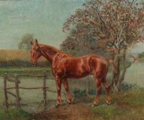 Robert Rasell (act. 1868-1880), A study of a horse watering by a river, oil on canvas, signed, 18