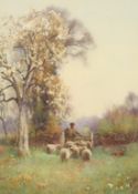Benjamin Sigmund (1857-1947) British, A Shepherd and his flock beneath blossom, watercolour, signed,