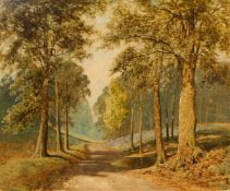David Mead (1906-1986) British, Balcombe Forrest, Sussex , A track through the woods, oil on