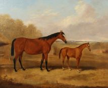 J. Buckland, 19th century British, A mare and a foal on a pasture, oil on canvas, signed and