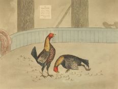 After Alken, A pair of prints depicting cock fighting scenes including 'Plate No 1-A Start' and '