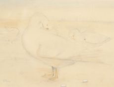 K. Mackie (20th Century), A study of white ducks preening their feathers, watercolour, 10 x 13 ,