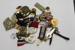 Various enamel and other badges etc.