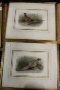 Archibald Thorburn, Cock and Hen Pheasants, colour prints, a pair.