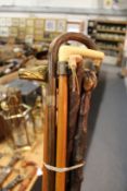Various walking sticks.