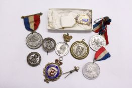 Enamel badge and various other medals etc.