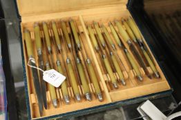 A cased set of horn handled knives, possibly rhino horn.