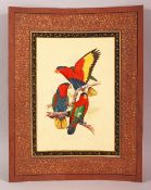 A FINE QUALITY 19TH/20TH CENTURY INDIAN PAINTING OF PARROTS, the borders with fine scrolling foliate
