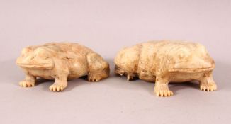 A PAIR OF CHINESE 19TH / 20TH CENTURY CARVED SOAPSTONE FROGS, the opposing pair in a recumbent pose,