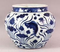 A CHINESE BLUE & WHITE PORCELAIN MIN STYLE JAR - The body of the jar decorated with fish an d