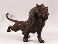 A JAPANESE MEIJI BRONZE FIGURE OF A LION, the lion in predatory stance with growling face, 56cm