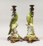 A PAIR OF ORNATE PORCELAIN AND ORMOLU CANDLESTICKS, modelled as parrots seated on a tree stump.