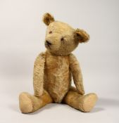 A HUMP BACK TEDDY BEAR 24ins