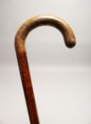 A RUSTIC WALKING CANE 3ft long