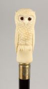A WALKING STICK, the bone handle carved as an owl. 39ins long.