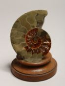 A POLISHED CROSS-SECTION OF AN AMMONITE FOSSIL on a stand. 3.75ins
