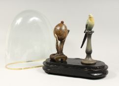 A VICTORIAN BIRD ON A PERCH AND EGG ON A STAG HORN, under glass dome.